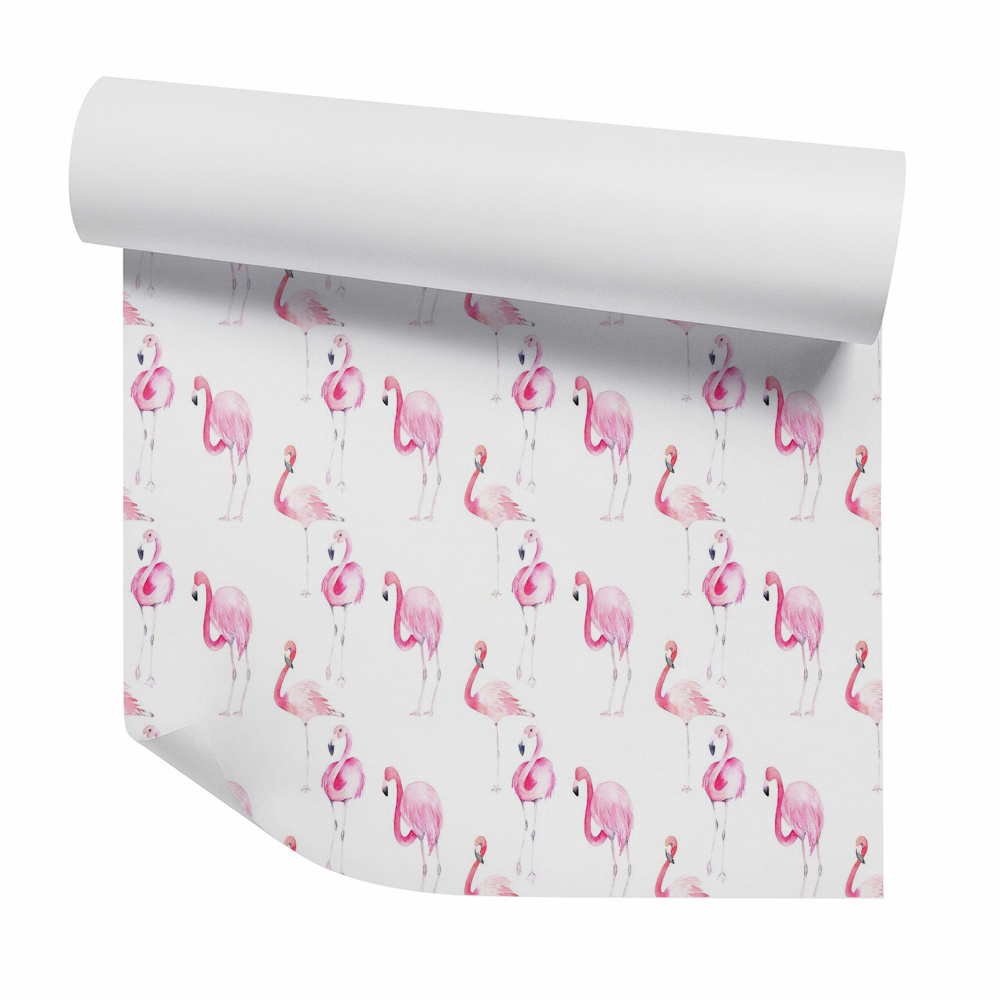 Papier peint Flamants roses sur fond blanc