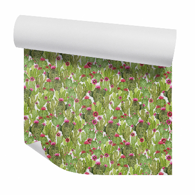 Papier peint Cactus à fleurs rouges