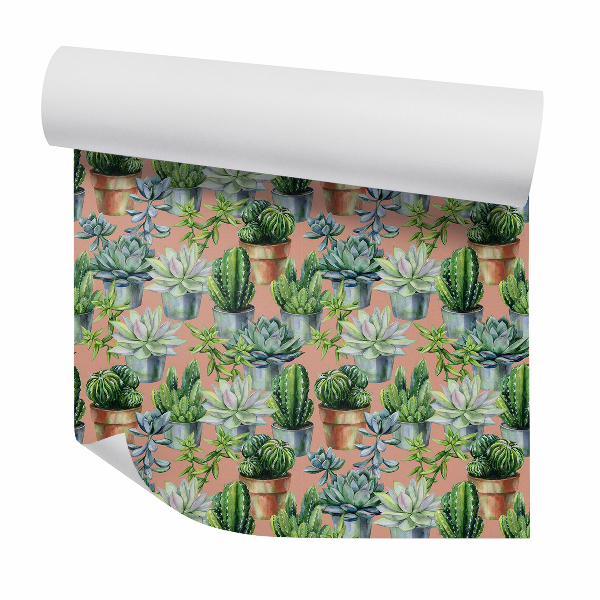 Papier peint Cactus divers sur fond lumineux