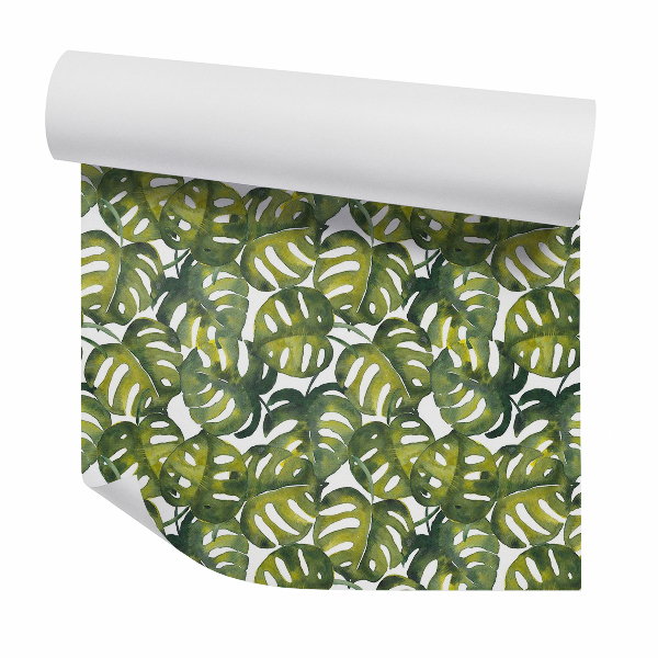 Papier peint Monstera fond blanc