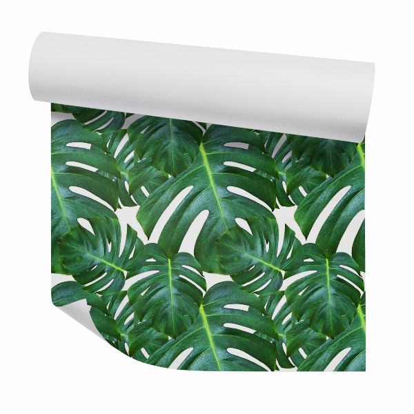 Papier peint Monstera vert clair