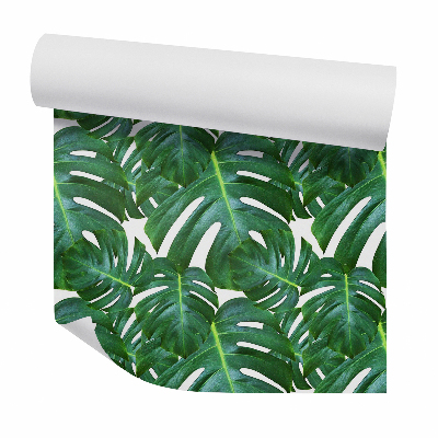 Papier peint Monstera vert clair