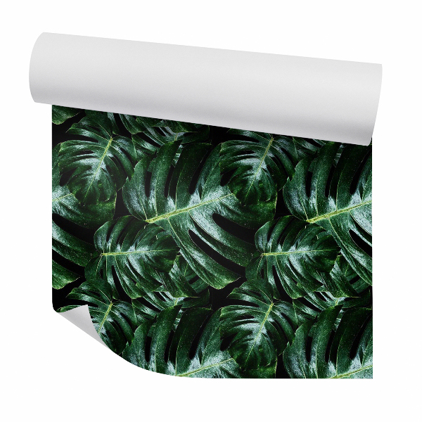 Papier peint Monstera vert foncé