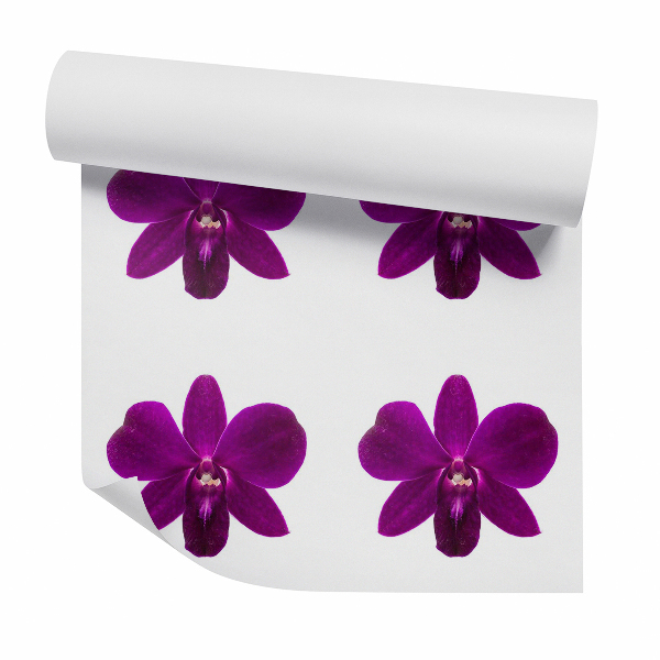 Papier peint Fleur d'orchidée violette