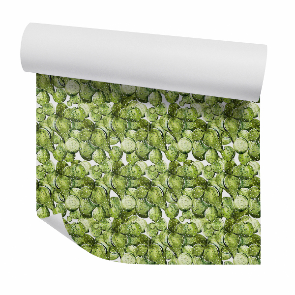 Papier peint Feuilles de cactus