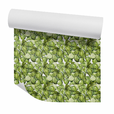 Papier peint Feuilles de cactus