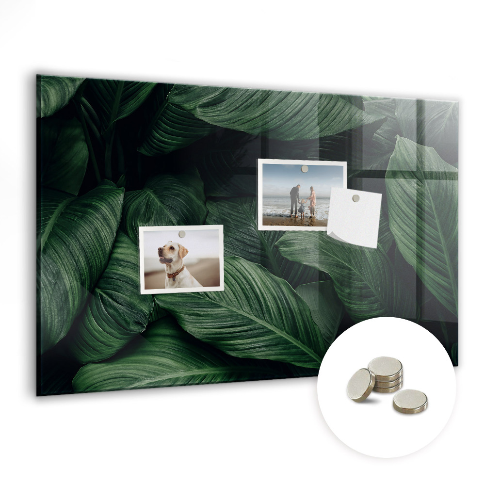 Tableau verre magnétique Feuilles exotiques