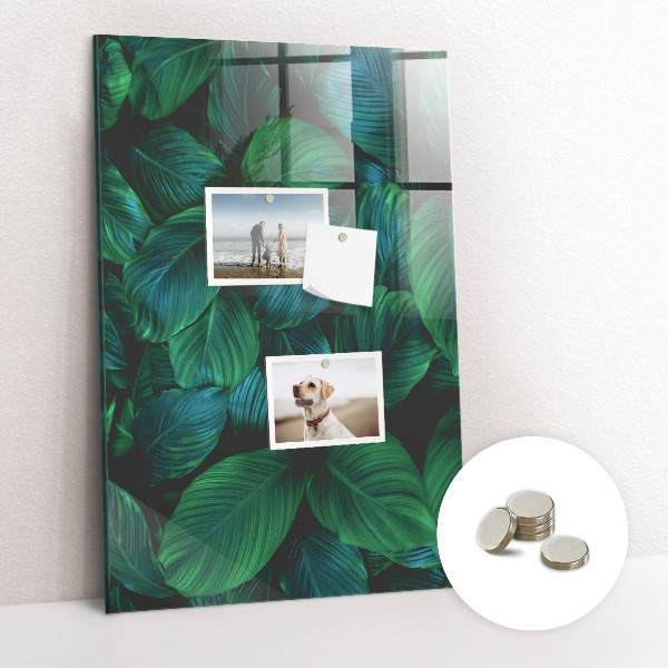 Tableau pour magnet Grandes feuilles vertes