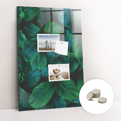Tableau pour magnet Grandes feuilles vertes