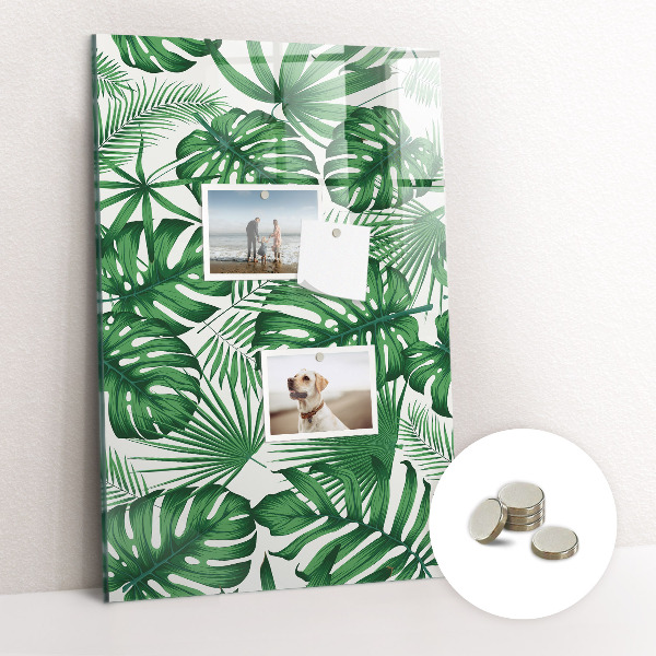 Tableau magnétique déco Feuilles tropicales monstera