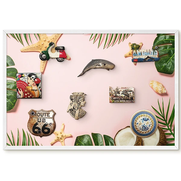 Tableau pour collection d'aimants motif feuilles tropicales et noix de coco sur fond rose