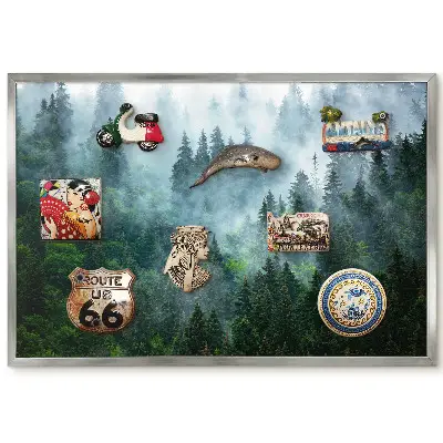 Tableau magnétique encadré représentant une forêt dense dans le brouillard avec de la verdure et de la lumière