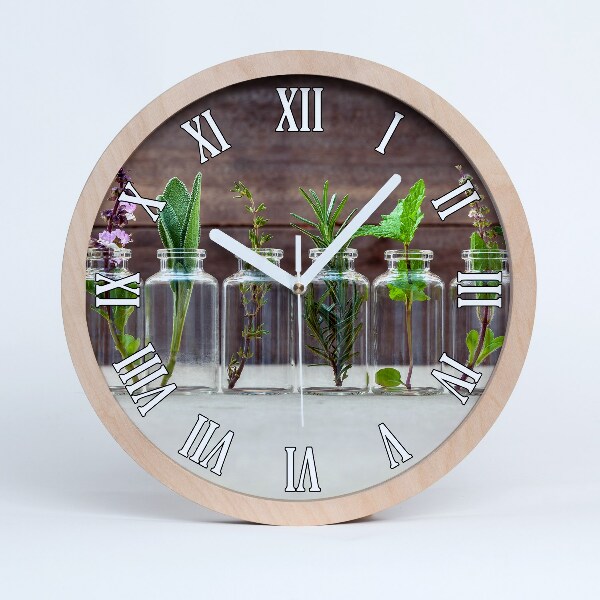 Horloge murale bois Plantes en bocaux