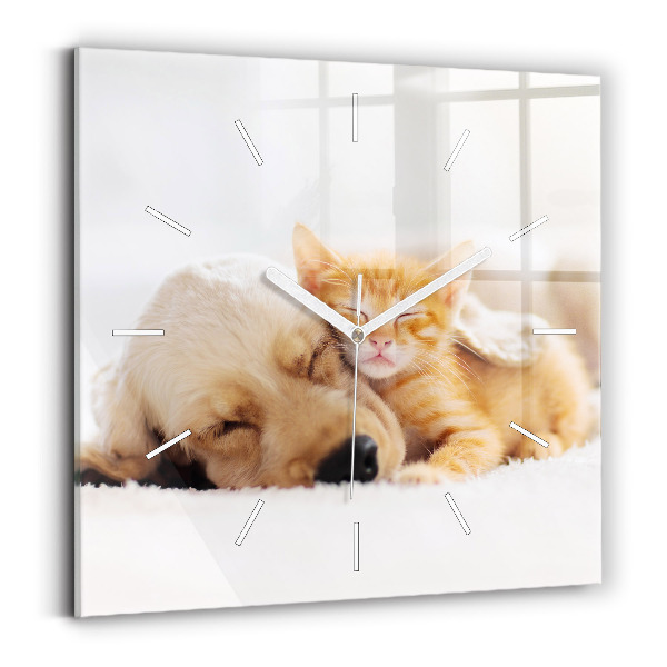 Horloge murale carrée Chat et chien endormis