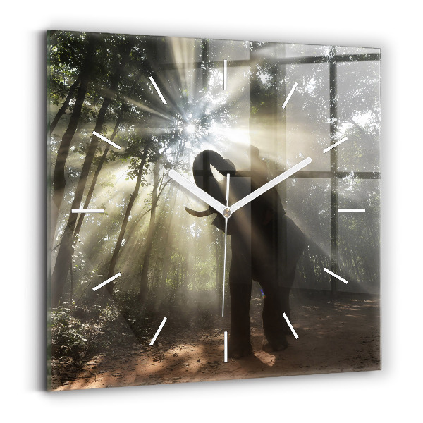 Horloge murale carrée Éléphant dans la jungle