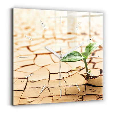 Horloge carrée en verre Plante en terre sèche