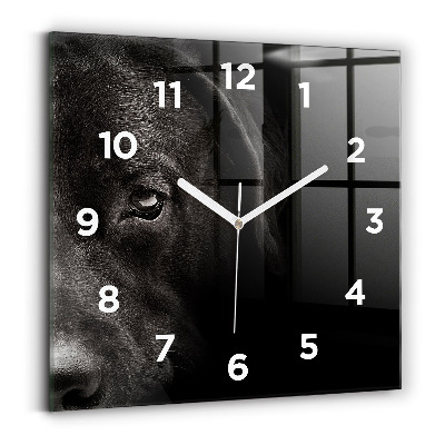 Horloge carrée en verre Chien et chat écossais
