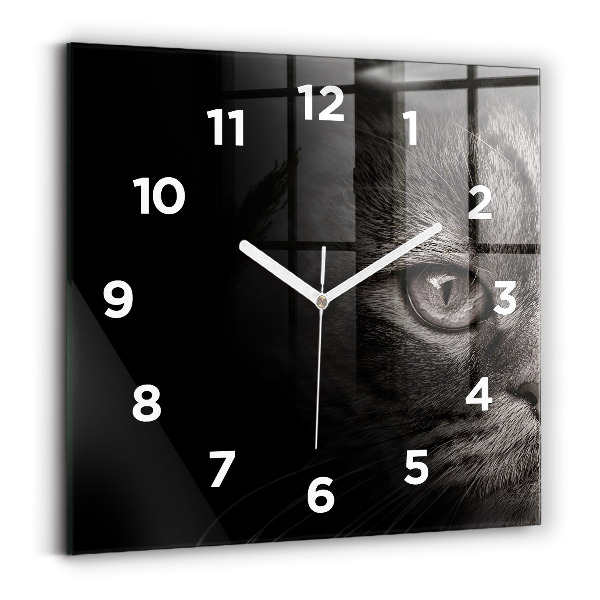 Pendule carrée en verre Chien et chat écossais