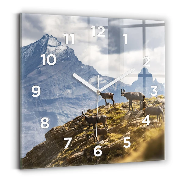 Horloge murale carrée Chèvre dans la vallée d'Aoste