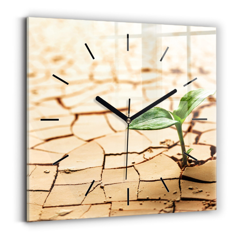 Horloge carrée en verre Plante en terre sèche