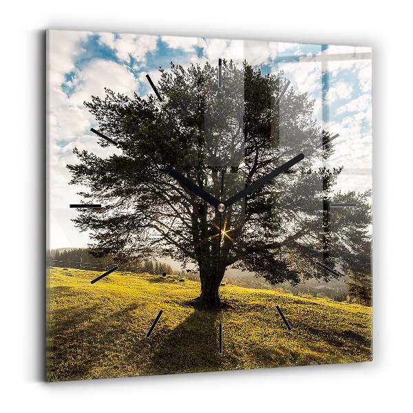 Horloge carrée en verre Arbre sur une colline