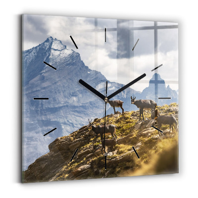 Horloge murale carrée Chèvre dans la vallée d'Aoste