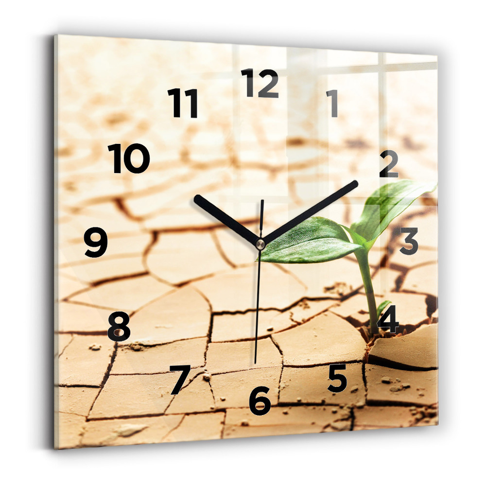 Horloge carrée en verre Plante en terre sèche