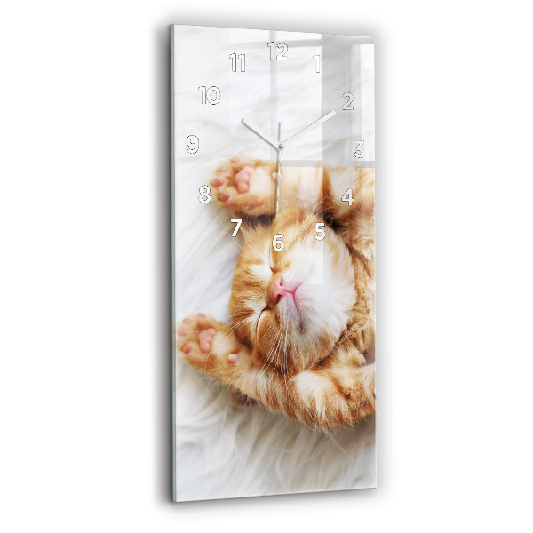 Horloge murale verticale Petit chat endormi