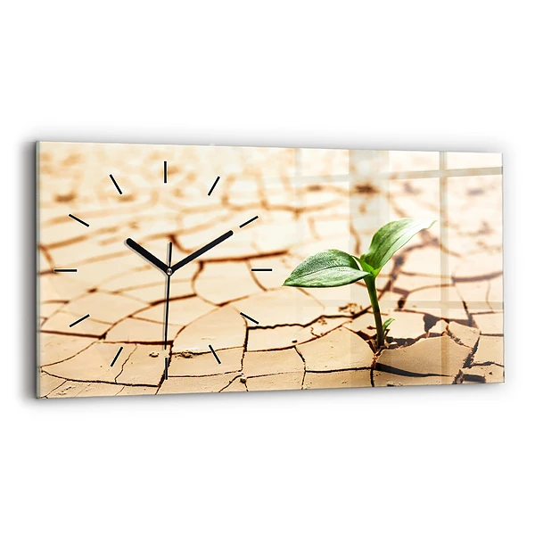 Horloge horizontale en verre Plante en terre sèche