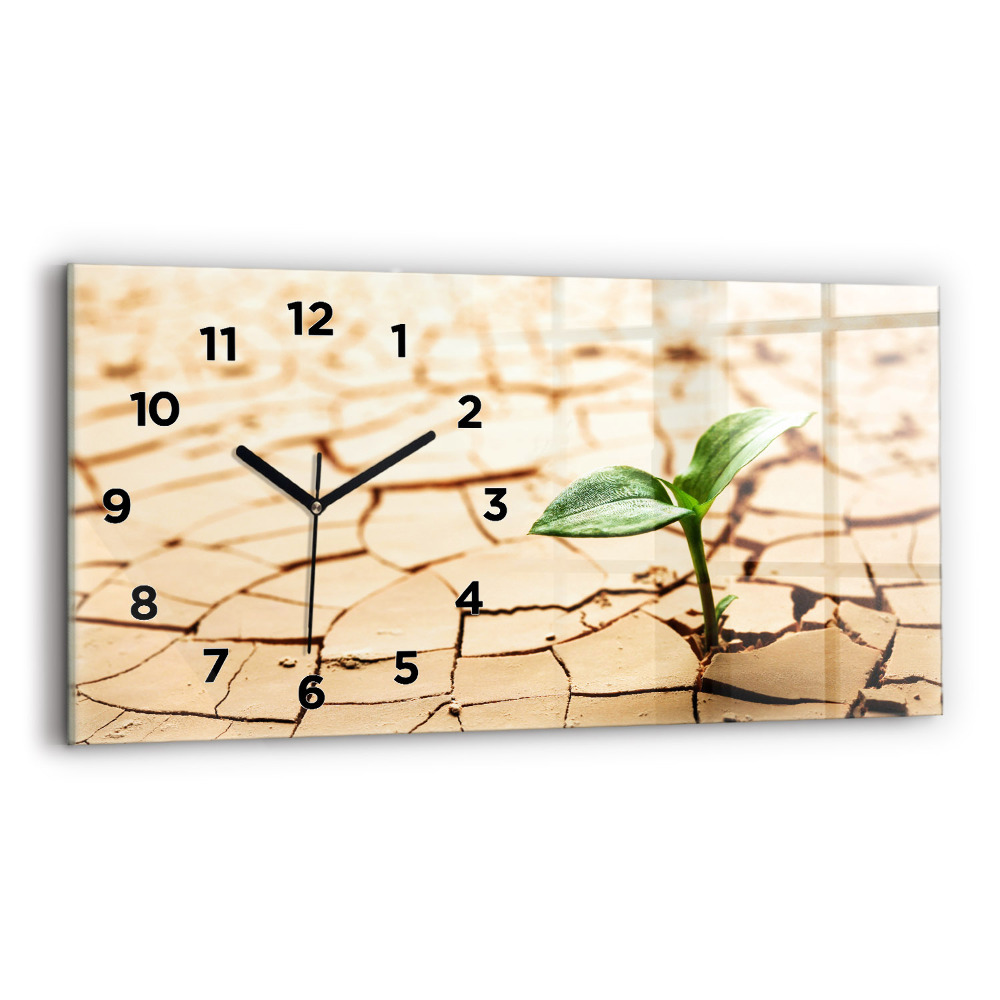 Horloge horizontale en verre Plante en terre sèche