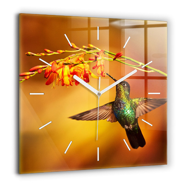 Horloge carrée en verre 60x60 cm Oiseau colibri