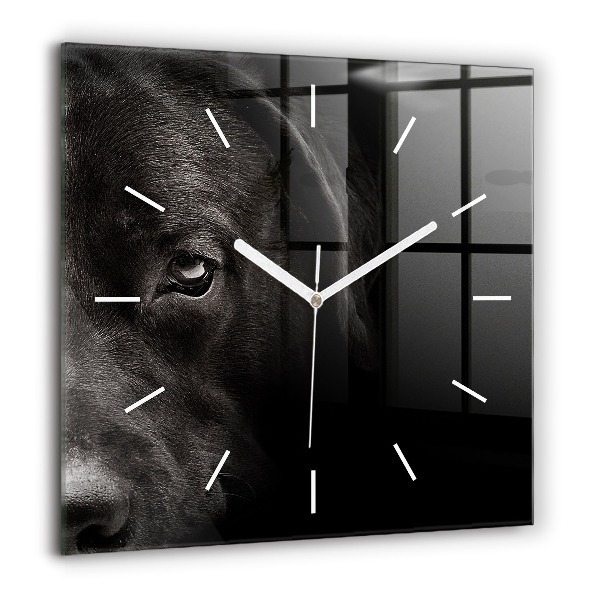 Horloge carrée en verre 60x60 cm Chien et chat écossais