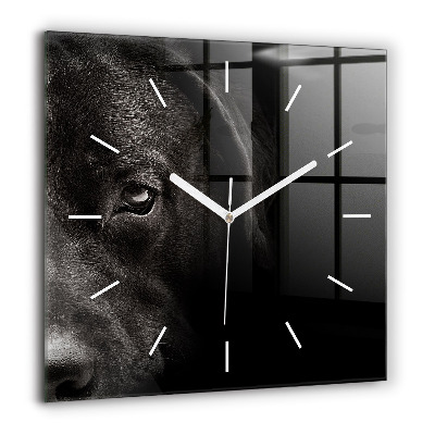 Horloge carrée en verre 60x60 cm Chien et chat écossais