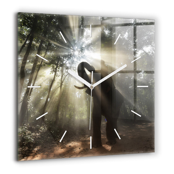 Horloge murale carrée 60x60 cm Éléphant dans la jungle