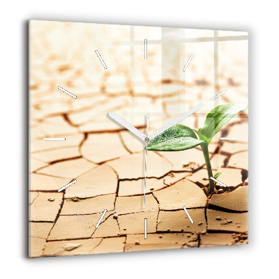 Horloge carrée en verre 60x60 cm Plante dans un sol sec