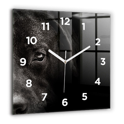Horloge carrée en verre 60x60 cm Chien et chat écossais