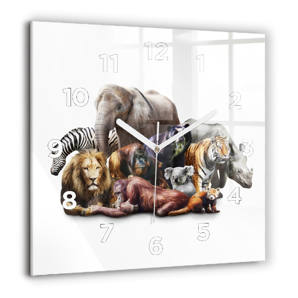 Pendule carrée en verre 60x60 cm Animaux sauvages