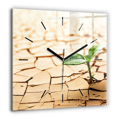 Horloge carrée en verre 60x60 cm Plante dans un sol sec