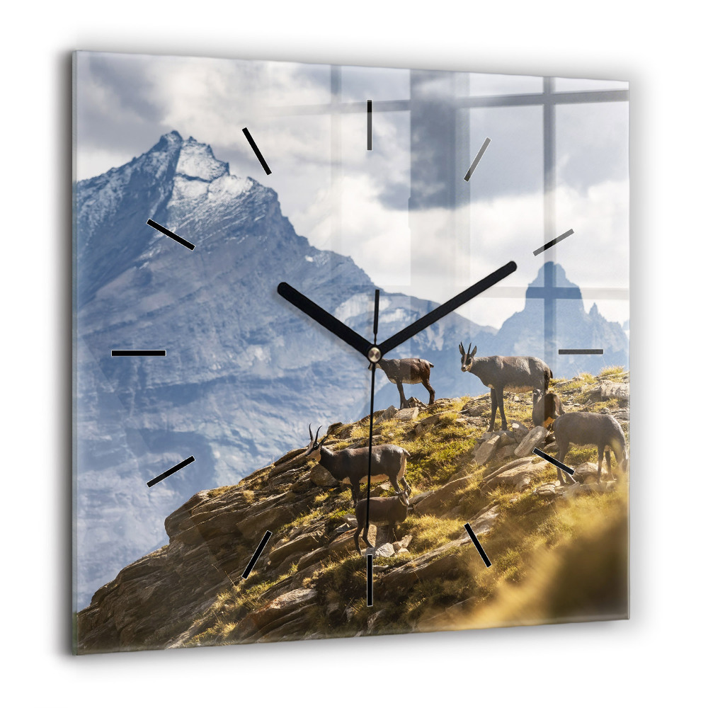 Horloge murale carrée 60x60 cm Chèvre dans la vallée d'Aoste
