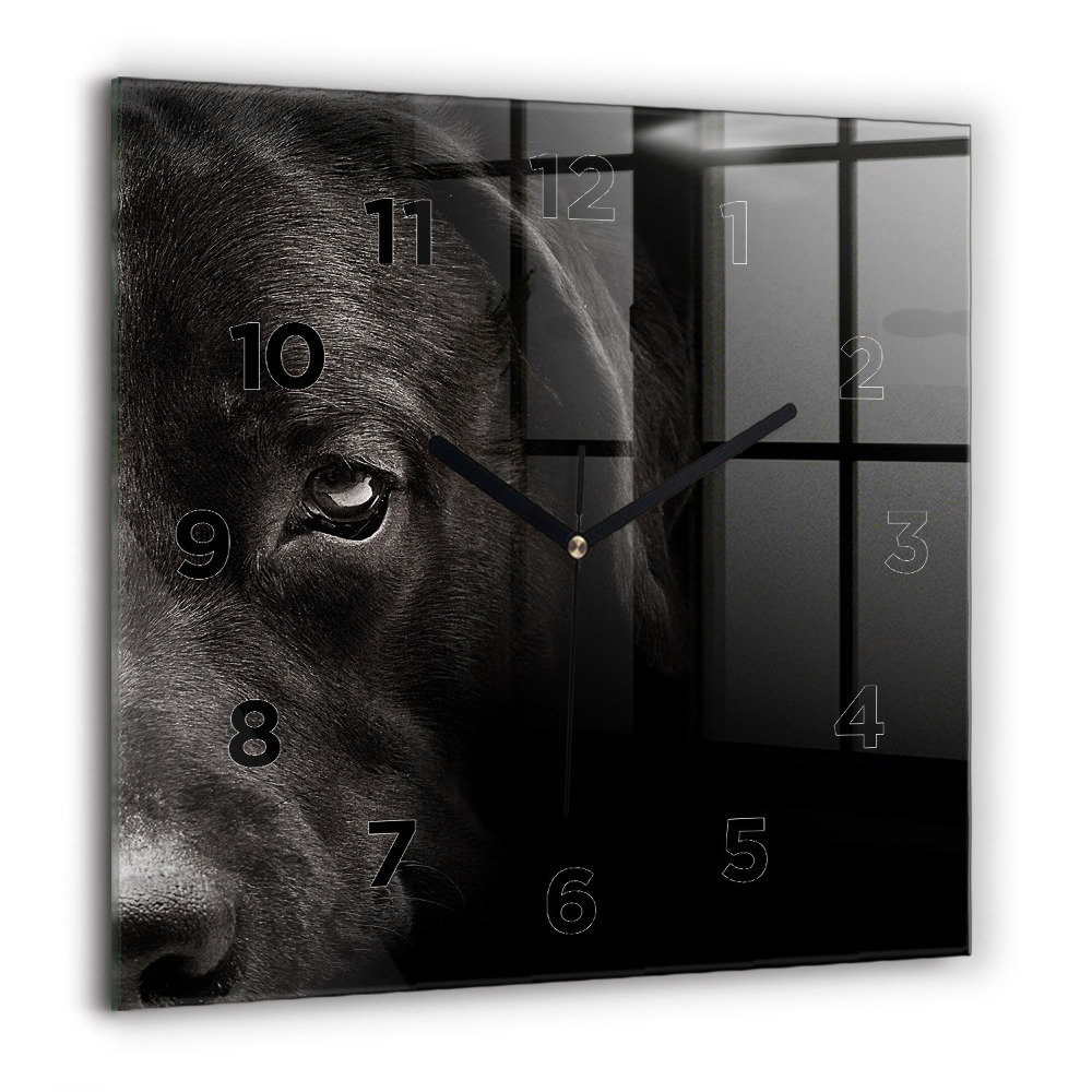Horloge carrée en verre 60x60 cm Chien et chat écossais