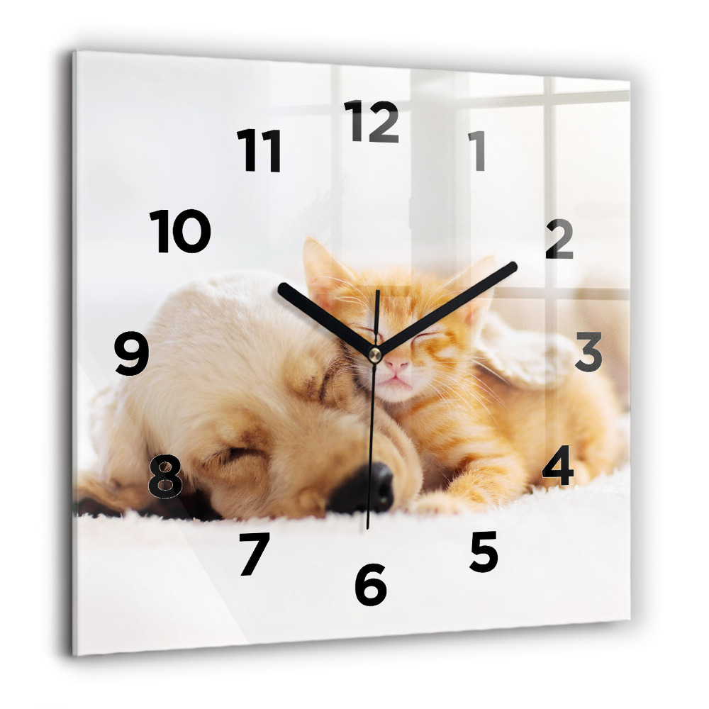 Horloge murale carrée 60x60 cm Chat et chien endormis