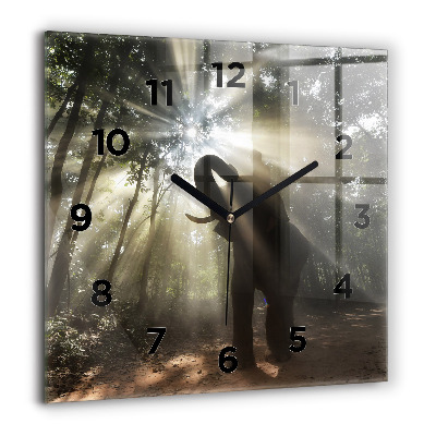 Horloge murale carrée 60x60 cm Éléphant dans la jungle