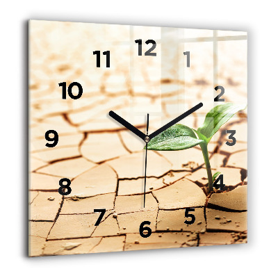 Horloge carrée en verre 60x60 cm Plante dans un sol sec