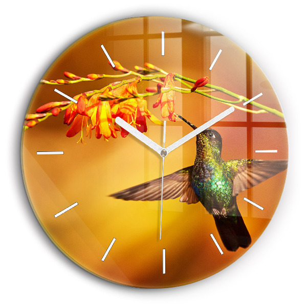 Horloge ronde murale 60 cm Oiseau colibri