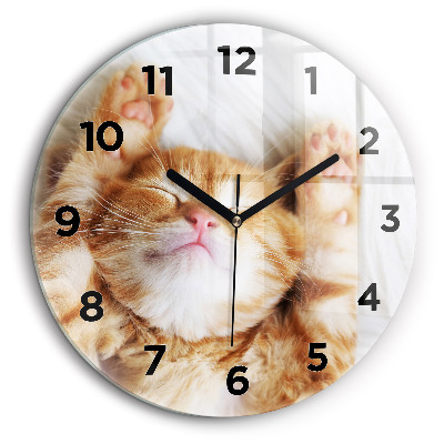 Petit chat endormi Horloge ronde 60 cm